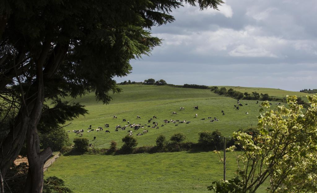 Ard Na Greine Bed and Breakfast Clonakilty Buitenkant foto